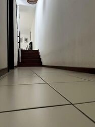 Chancery Lane (D11), Terrace #448229121